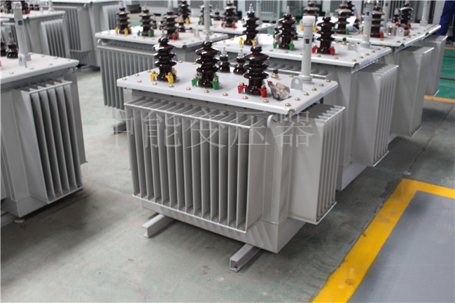 成都S22-250KVA/10KV变压器